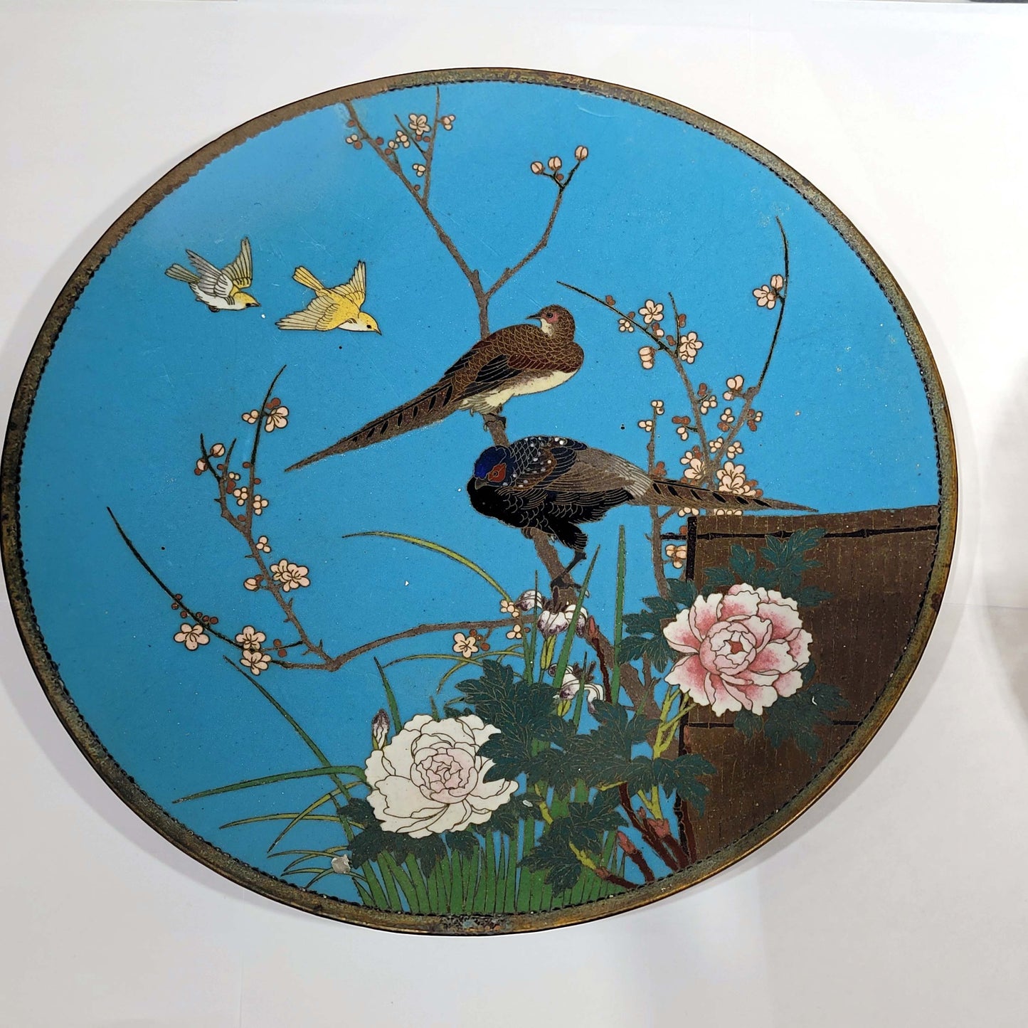 Japanese Cloisonne Charger plate, Meiji Period