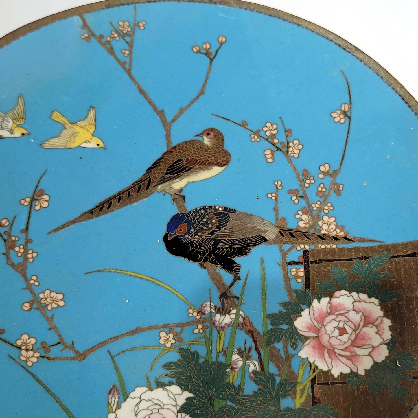 Japanese Cloisonne Charger plate, Meiji Period