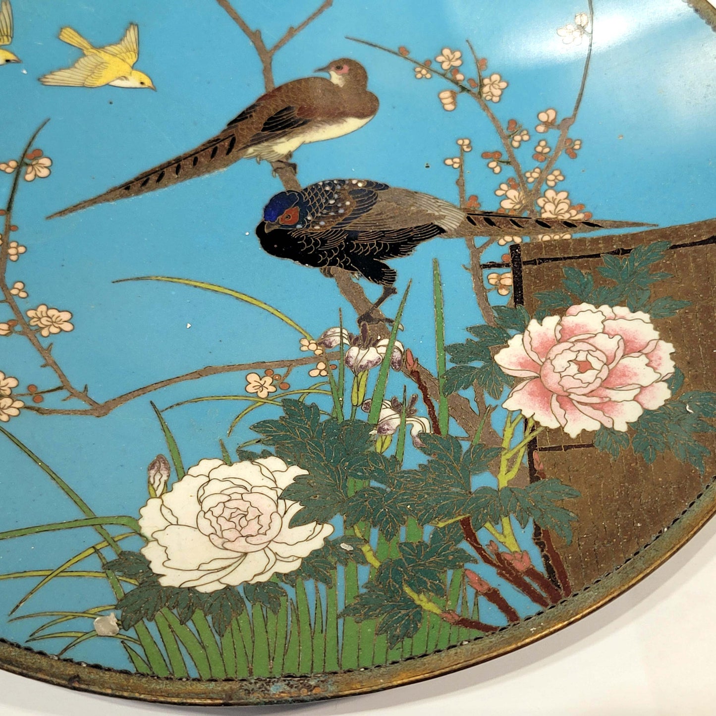 Japanese Cloisonne Charger plate, Meiji Period