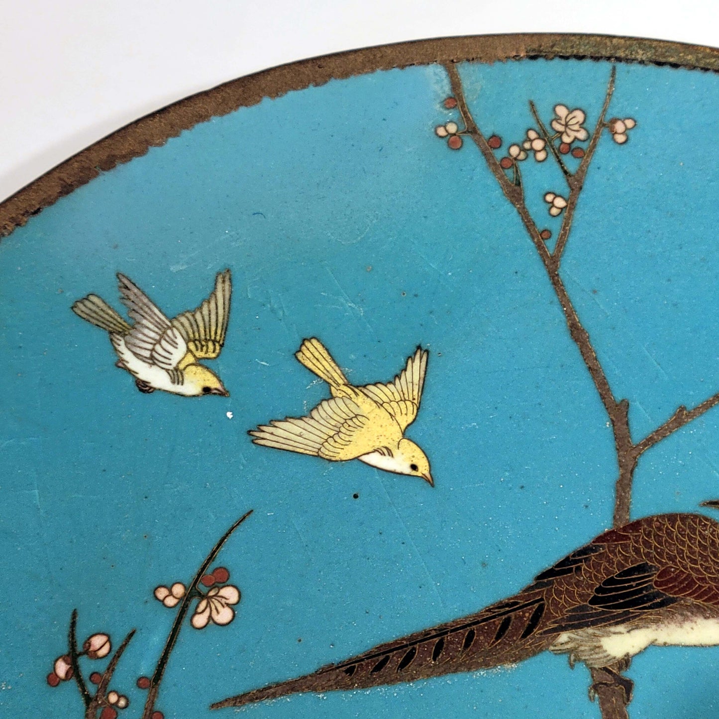 Japanese Cloisonne Charger plate, Meiji Period